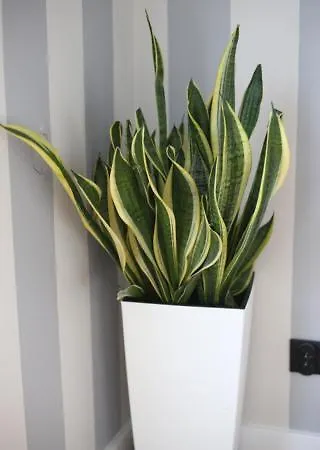 Apartament Holiday Gdynia شقة *