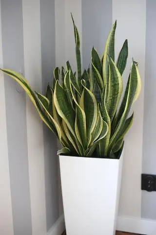 Apartament Holiday Gdynia Appartement *